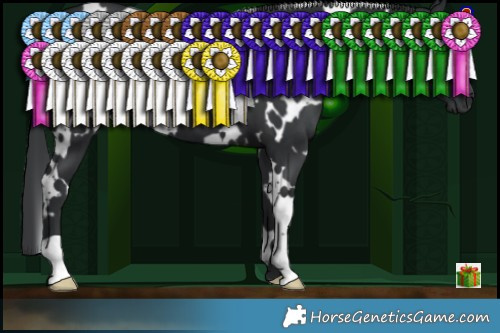 Horse Color:White Spotted Black 