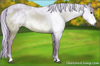 Horse Color:Gray Watercolor Bay 