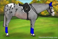 Horse Color:Brown Splash Appaloosa 