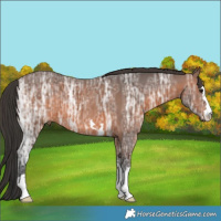 Horse Color:Brown Ice 