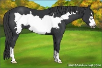 Horse Color:Black Frame 