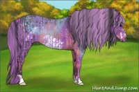 Horse Color:Brown Frame Rabicano and Watercolor Liver Chestnut Rabicano