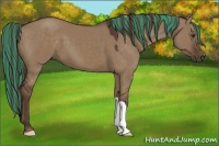 Horse Color:Painted Liver Red Dun