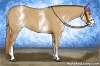 Horse Color:White Spotted Red Dun Roan 