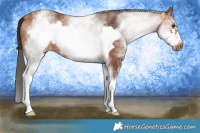 Horse Color:White Spotted Brown Frame 