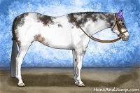 Horse Color:White Spotted Brown Frame