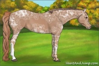 Horse Color:Chestnut Ice 