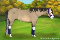 Horse Color:Buckskin Roan Dun Splash