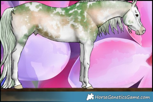 Horse Color:Watercolor White Spotted Silver Brown Onyx Sabino Splash 