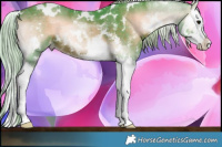 Horse Color:Watercolor White Spotted Silver Brown Onyx Sabino Splash 