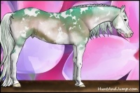 Horse Color:Watercolor White Spotted Silver Brown Onyx Sabino Splash 
