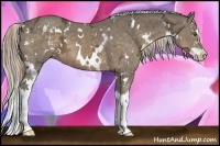 Horse Color:White Spotted Chocolate Palomino Ice Splash 