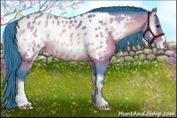 Horse Color:Watercolor Brown Onyx Appaloosa 