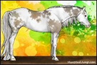 Horse Color:White Spotted Liver Chestnut Ice Sabino Splash