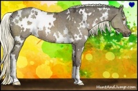 Horse Color:White Spotted Liver Chestnut Ice 