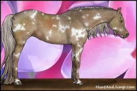 Horse Color:White Spotted Chocolate Palomino
