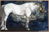 Horse Color:White Spotted Liver Red Dun 