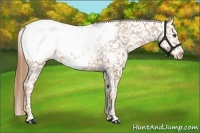 Horse Color:Chestnut Snowcap