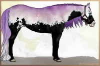 Horse Color:Watercolor Plaid  White Spotted Liver Red Dun Onyx Splash Rabicano 