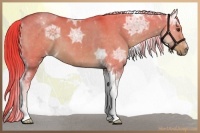 Horse Color:Watercolor Liver Red Dun Ice Tobiano