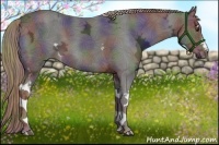 Horse Color:Nacre White Spotted Liver Chestnut Ice 