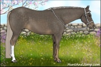 Horse Color:Chocolate Palomino Roan 