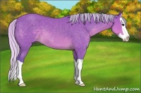 Horse Color:Watercolor Silver Buckskin Splash 