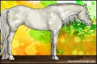 Horse Color:White Spotted Chocolate Palomino Pearl 