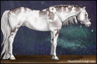 Horse Color:White Spotted Chocolate Silver Blue Onyx Chinchilla 