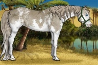 Horse Color:White Spotted Liver Red Dun Ice Splash 