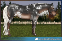 Horse Color:White Spotted Liver Chestnut Mushroom Rabicano 