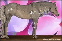 Horse Color:White Spotted Chocolate Palomino Ice