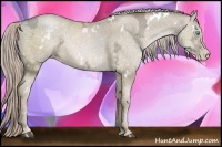 Horse Color:White Spotted Chocolate Palomino Ice Pearl Sabino