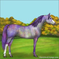 Horse Color:Nacre Watercolor Brown 