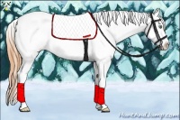 Horse Color:Amber Cream Champagne Dun Tobiano Appaloosa 