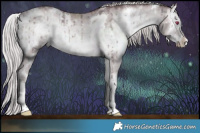 Horse Color:White Spotted Chocolate Silver Grullo Chinchilla Onyx Sabino Brindle 