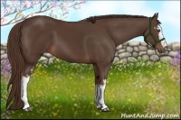 Horse Color:White Spotted Liver Chestnut 