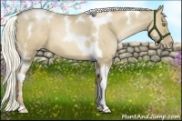 Horse Color:Liver Red Dun Roan Pearl Tobiano