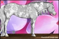 Horse Color:White Spotted Silver Grullo Chinchilla 