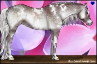 Horse Color:White Spotted Chocolate Silver Blue Onyx Chinchilla Brindle