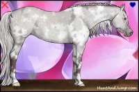 Horse Color:White Spotted Chocolate Silver Grullo Chinchilla Ice