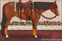 Horse Color:Bay Sabino
