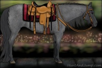 Horse Color:Blue Roan 