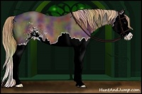 Horse Color:Nacre Liver Chestnut Sabino Splash