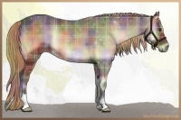 Horse Color:Nacre Plaid Liver Red Onyx