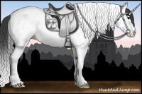 Horse Color:Grullo Splash Tobiano