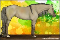 Horse Color:Liver Red Dun 