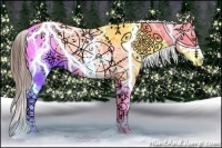 Horse Color:Sable Champagne Dun Sabino Splash Appaloosa 