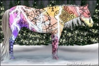Horse Color:White Spotted Brown Splash Appaloosa 