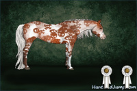 Horse Color:White Spotted Silver Brown 